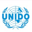 联合国工业发展组织